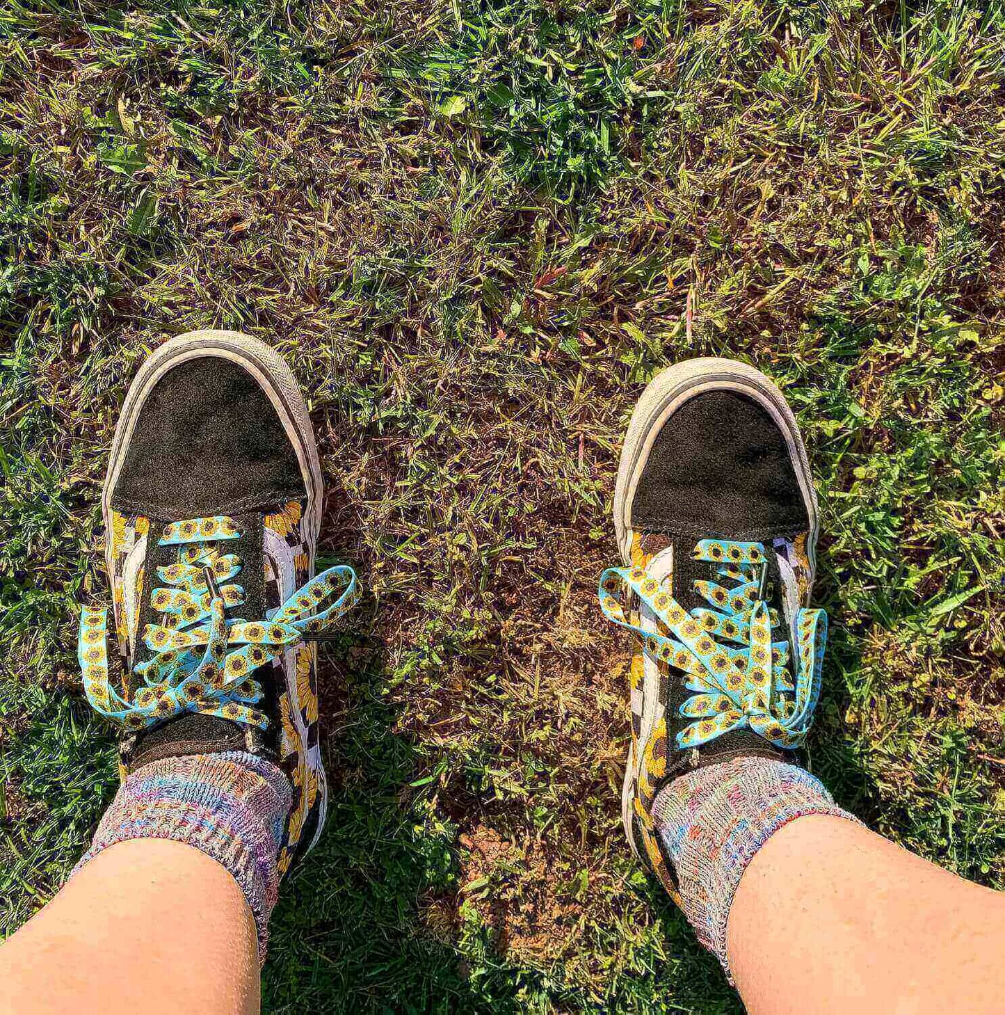 Sunflower Shoelaces